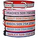 GoTags Embroidered Reflective Dog Collars with Metal Buckle, Personalized Dog Collar Custom Embroidered with Pet Name and Phone Number, Sizes for Puppy and Dogs Extra Small, to Medium and Large