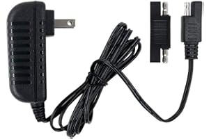 HZPOWEN Replacement Charger 6V Fit for Disney Quad Pacific Cycle Marvel The Avenger Good Dinosaur Princess Fairies Minnie Mouse Frozen CAR McQueen ATV 6V Battery Ride ON Walmart Target Toy R US