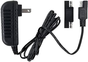 Charger 6V for Disney Quad Pacific Cycle Marvel The Avenger Good Dinosaur Princess Fairies Minnie Mouse Frozen CAR McQueen ATV 6V Battery Ride ON Walmart Target Toy R US