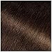 Garnier Olia Ammonia-Free Brilliant Color Oil-Rich Permanent Hair Color, 4.3 Dark Golden Brown (Pack of 2) Brown Hair Dye (Packaging May Vary)