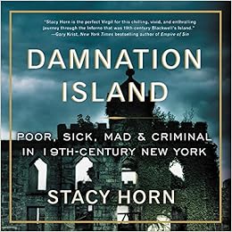 Damnation Island: Poor, Sick, Mad, and Criminal in 19th-Century New York, by Stacy Horn