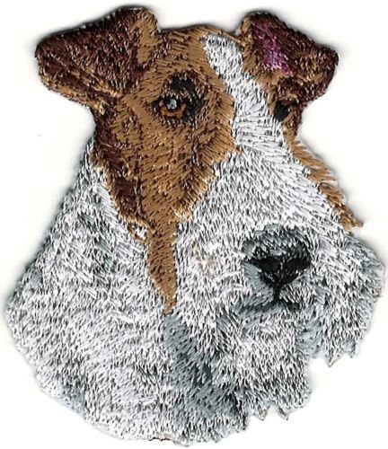 Amazon Com Wired Black White Fox Terrier Portrait Dog Breed