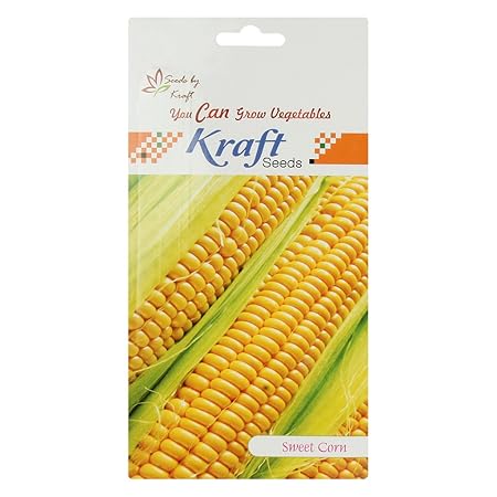 Sweet Corn F1 Hybrid Vegetable Seeds (Pack Of 2) By Kraft Seeds