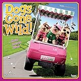 Avanti Dogs Gone Wild 2020 12 x 12 Inch Monthly Square Wall Calendar, Canine Pet Humor (English, Spa by