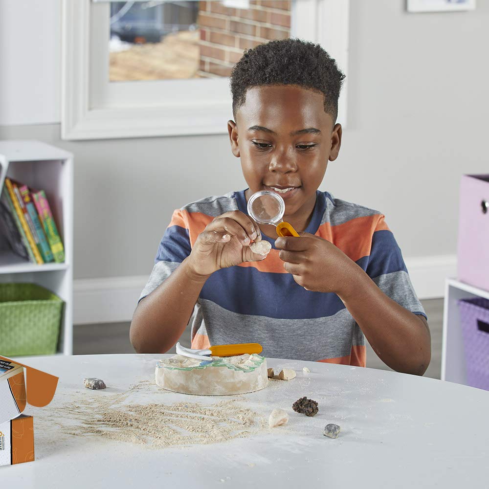 hand2mind Dig & Display Fossil Dig Kit, Fossil Display Case, 8 Real Fossils to Uncover, Dig Kits for Kids, Fossil Digging Kit for Kids, Excavation Kit for Kids, Fossil Science, Archeology Kits