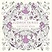 The Flower Fairies Coloring Book by