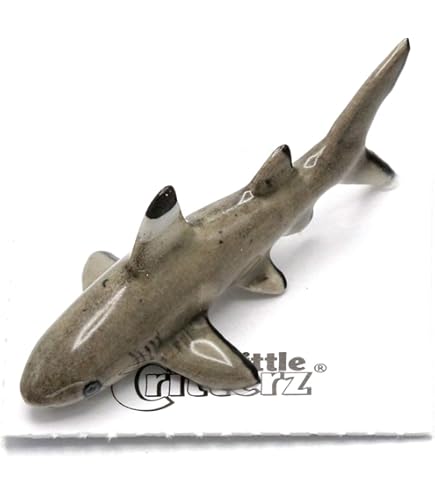 リトルシャーク DSC_0127__87358.1699315466.386