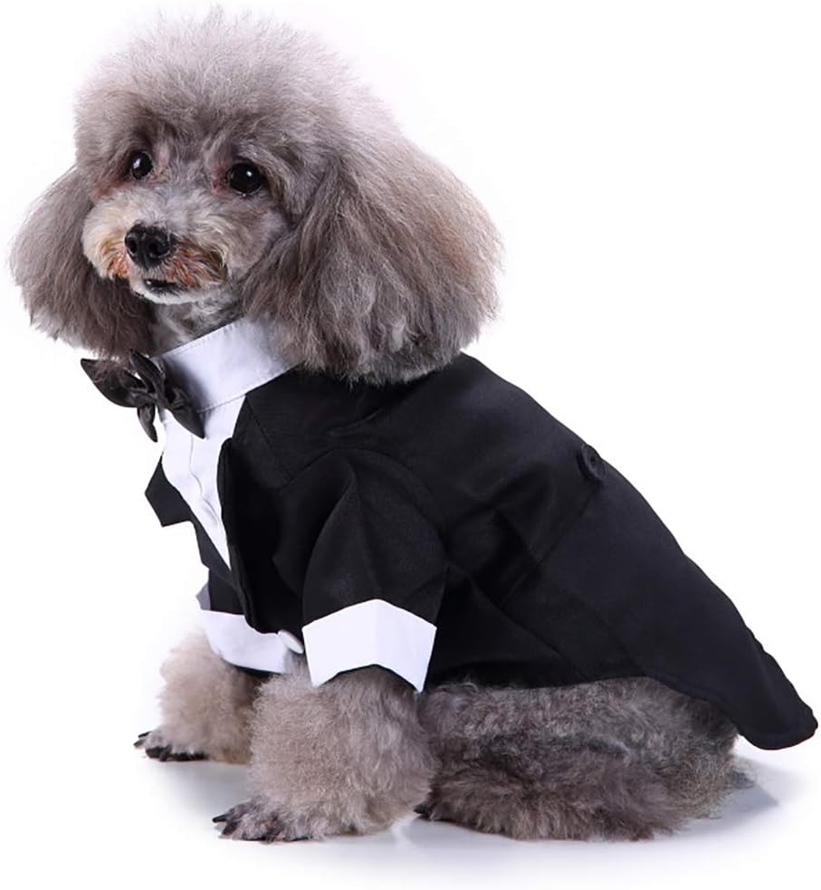 Amazon Marupet マルペット ペット用 犬服猫服タキシード 蝶ネクタイ付き 可愛いペットもフォーマルにドレスアップ ホワイト Xl Marupet マルペット コスチューム 通販