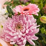 All Occasions Strawberries & Cream Bouquet Fresh Flowers for Mother's Day view 5