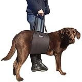 Amazon Com Coodeo Dog Lift Harness Pet Support Rehabilitation Sling Lift Adjustable Padded Breathable Straps For Old Disabled Joint Injuries Arthritis Loss Of Stability Dogs Walk Large Kitchen Dining