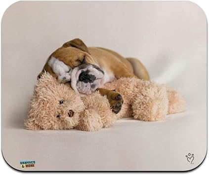 british bulldog teddy bear