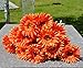 10 PCS Real Touch Latex Silk Artificial fake plastic Daisy Chrysanthemum Flowers Sun Chrysanthemum,Sunflower, Simulation Gerber, Dimorphotheca,Party Room home Decoration DIY Flower Bouquet (orange)