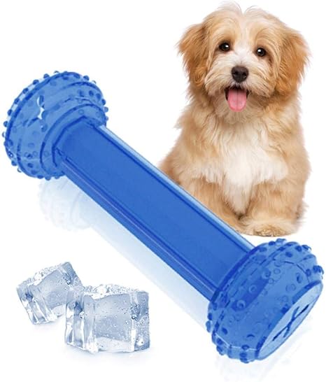 Jouet rafraichissant chien Clearance