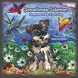 Sometimes Solomon: Sometimes a dog is just a dog by John Young, Polina Hrytskova