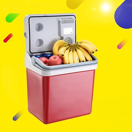 Compra SL&BX Nevera portátil coche, Mini nevera doble ...
