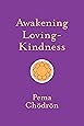 Awakening Loving-Kindness (Shambhala Pocket Classics)