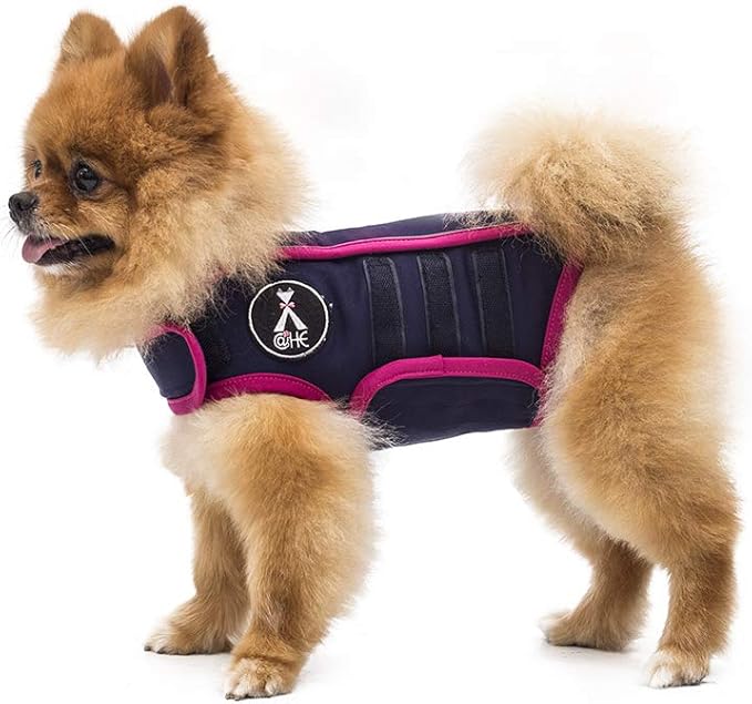 XHE Comfort Dog Anxiety Relief Coat, Dog Anxiety Calming