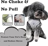 Anlitent Soft Mesh No Pull Cat Harness and Lead Set Grey X-Small view 6