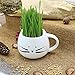 Teagas Organic Cat Grass Kit with Black and White Cat Grass Planters, Organic Soil, Natural Hairball Control and Hairball Remedy for Cats
