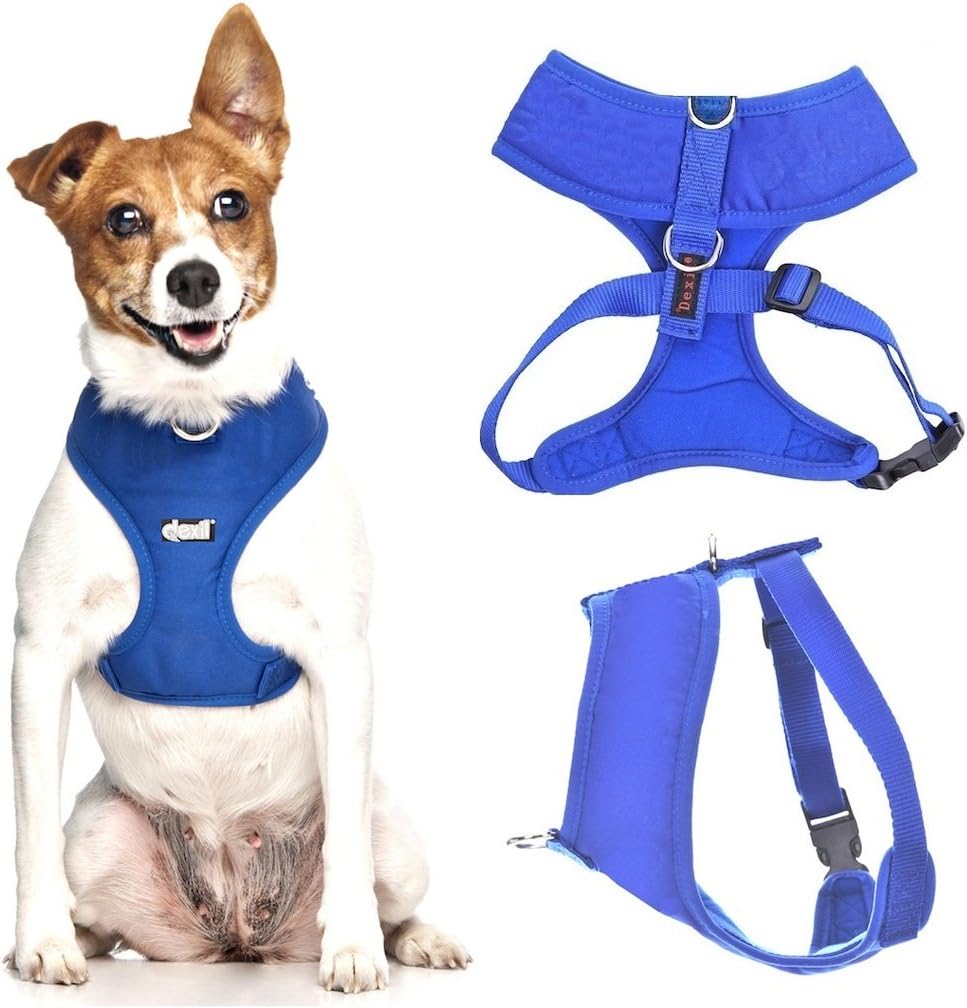Dexil Elite Range Padded Waterproof Adjustable Back and Front Ring Non-Pull Small Pet Dog Vest Harness (Royal Blue, Small 36-58cm Chest) - Image 3