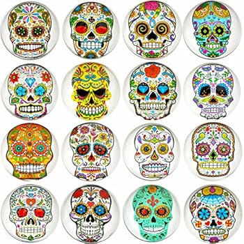 Aligle 16pcs Beautiful Glass Refrigerator Magnets Cute Fridge Stickers Funny for Office Cabinets Whiteboards Skull Decorative Photo Abstract Calendar Bulletin Board(16 Skull)