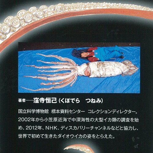 深海の怪物 ダイオウイカを追え ポプラサイエンスランド 窪寺恒己 本 通販 Amazon