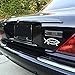 DNA Fish Darwin Magnetic Car Emblem - 5.5
