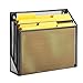 Honey-Can-Do OFC-06208 Mesh Vertical File Sorter, 3.6 x 12.6 x 11.5, Black