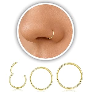 Titanium Nose Ring Hoop 20G 18G 16G Cartilage Hoop Earrings for Women Men | Silver Gold Small Thin Nose Hoop Nostril Piercing