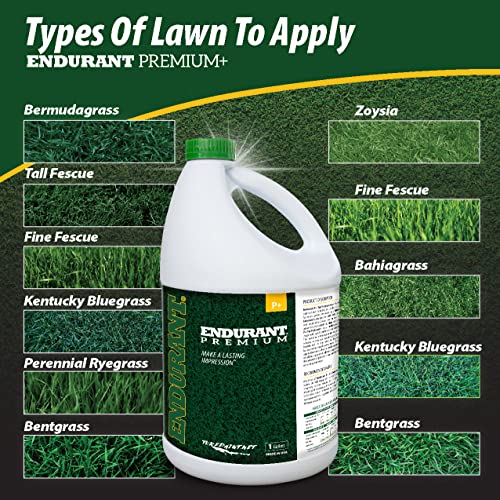 Endurant Green Grass Paint for Lawn and Fairway Treats Dry or Patchy