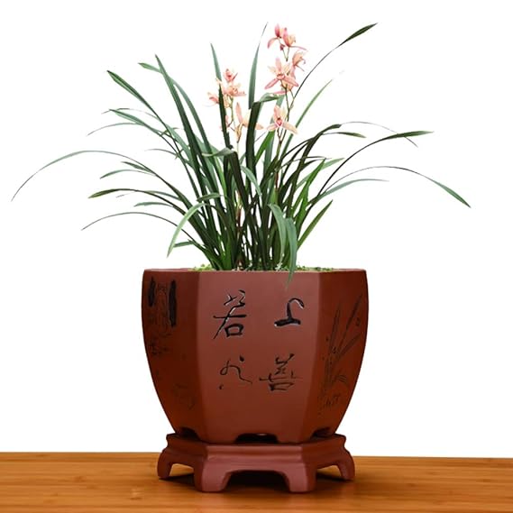 flower pot Lila ton Blumentopf Keramikbeschichtung Orchidee-Becken Bonsai Fleischig Blumentopf Green Rose Clivia Blumentopf-A