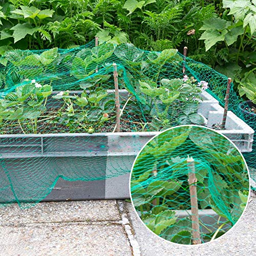 Vogelschutznetz 4 x 10 m Grünes Vogelnetz Teichnetz Baumnetz für Pflanzenschutz Gartennetz Obstbaumnetz Erbsenetz mit 30… – Bild 4