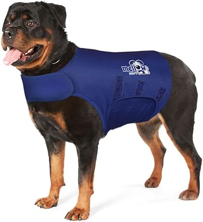 mellow shirt dog anxiety calming wrap