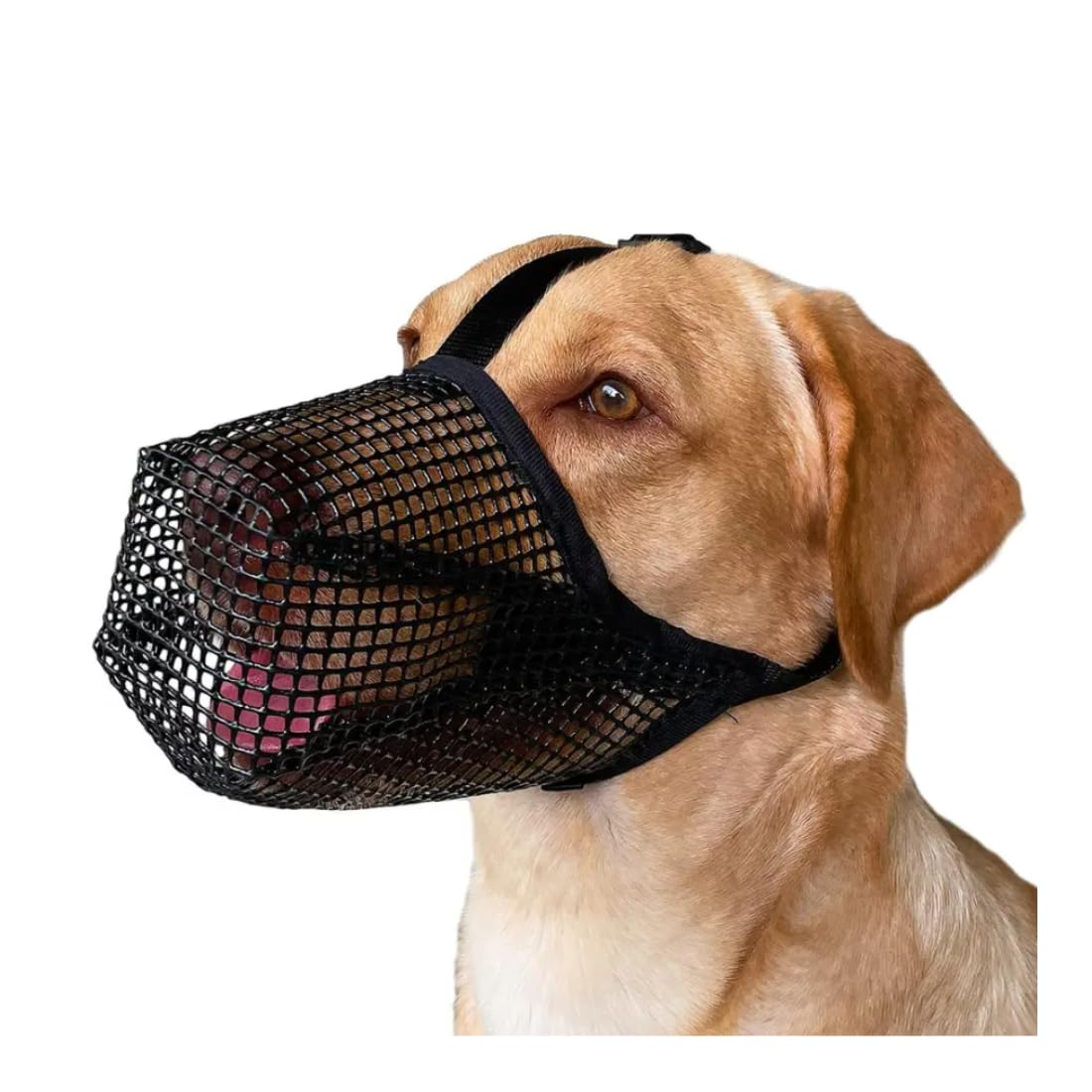 Soft Mesh Dog Muzzle - Prevent Biting, Chewing & Eating, Breathable Pet Mask for Dogs (S)