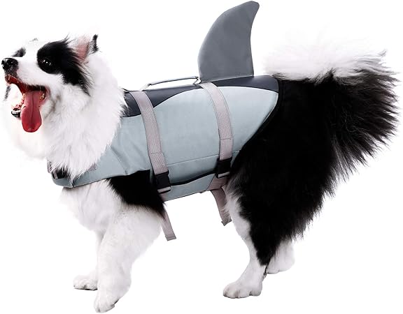 dog swim vest amazon