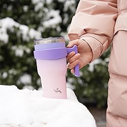 Konokyo 20 oz Tumbler with Handle and 2 Straw 2