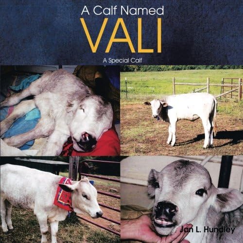 A Calf Named Vali: A Special Calf