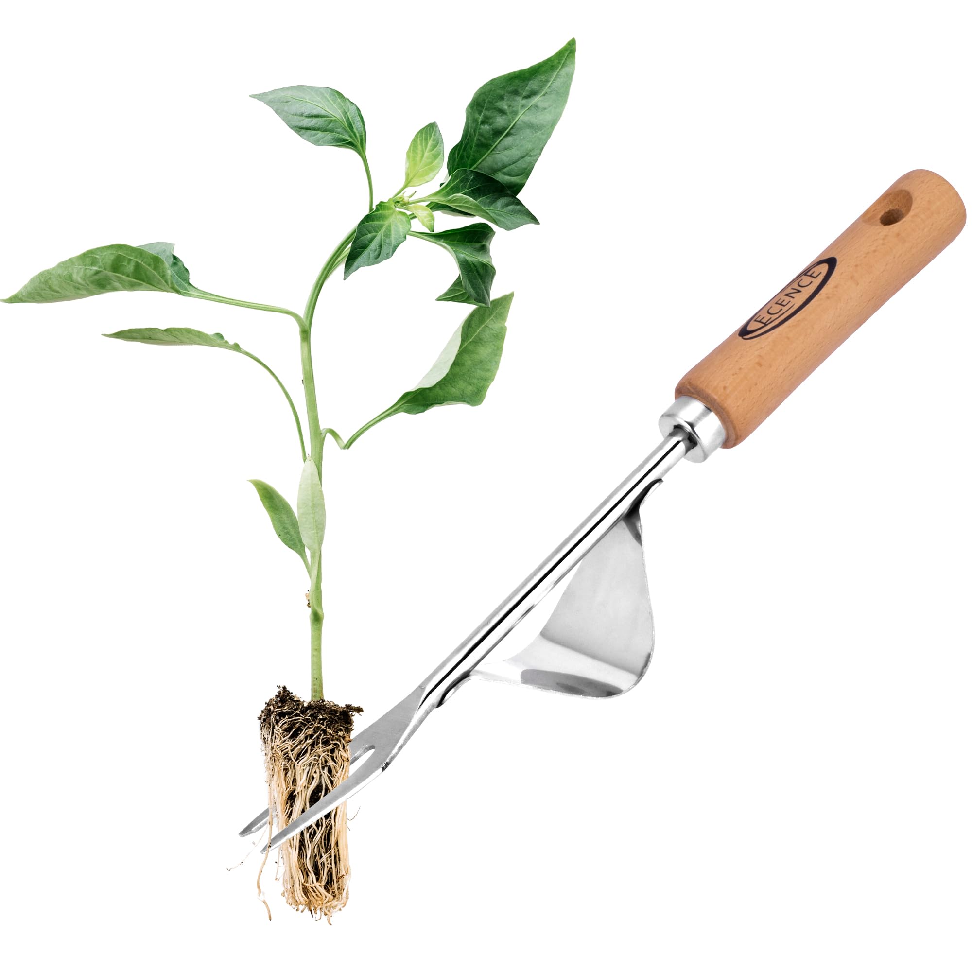 ECENCE Garden Weeder Tool - Stainless steel Weed Picker - Hand Weed Remover Tool with wooden handle for digging, weeding, loosening