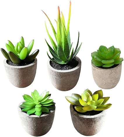 find software for your school