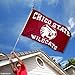Chico State Wildcats CSU Chico University Large College Flag