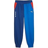 Puma Men's Standard BMW MMS Essentials Fleece Sweatpants