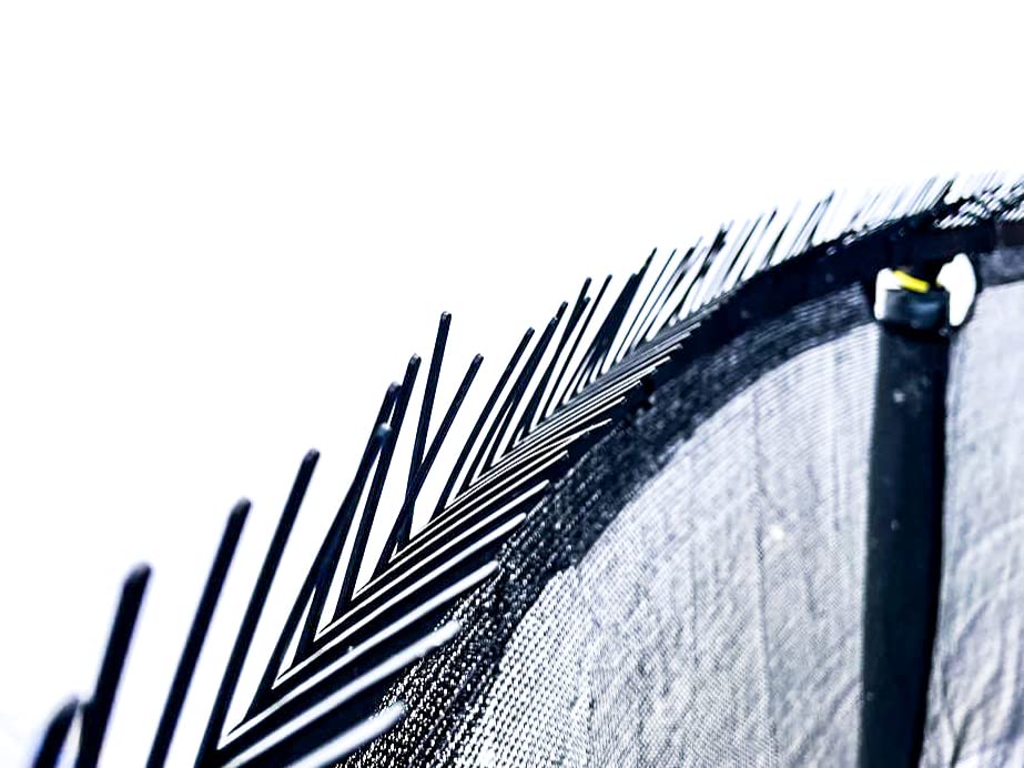 Feathers Away Trampoline Bird Spikes Pigeon Deterrent 8ft 10ft 12ft 14ft 16ft Easy Install Child Safe (12ft)