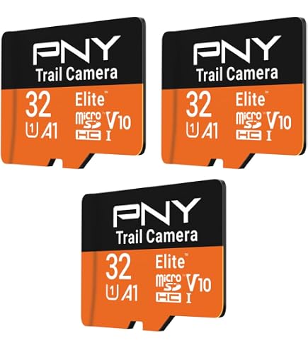 Amazon.com: Parts-Quick 32GB Memory Card for Canon PowerShot ELPH