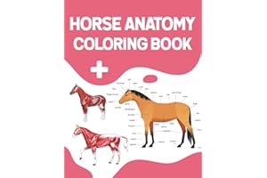 Horse Anatomy Coloring Book: Introduction to Veterinary Anatomy and Physiology Workbook. Simple Animal Body Parts For Children Vet Students and even ... Anatomy Student Self Test Coloring Workbook.