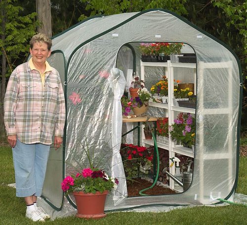 Flower House FHSP300 SpringHouse Greenhouse