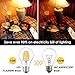 SUNMEG A19 LED Clear Edison Style Filament, Replacement to 100w Incandescent Bulbs, 1000 Lumens, E26 Medium Base Filament Bulb, Warm White (2700K), 120VAC, Non-dimmable (1- Pack)