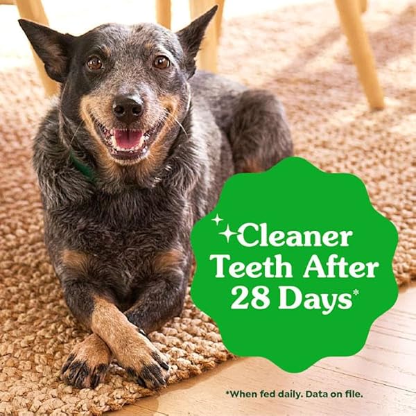 GREENIES DENTAL BONE DOG TREAT SWEET POTATO LARGE 12OZ