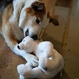 Petface Planet Pilip The Polar Bear Plush Dog Toy view 6