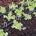 Ohuhu Garden Staples, 50-Pack 12