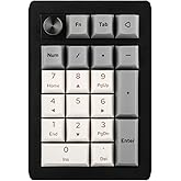 EPOMAKER EK21 VIA Gasket Number Pad with 1000mAh Battery, BT 5.0/2.4GHz/Wired Hot-Swap Numpad with Aluminum Alloy knob, Programmable for Win/Mac/Gaming (Black Silver, Wisteria V2 Switch)